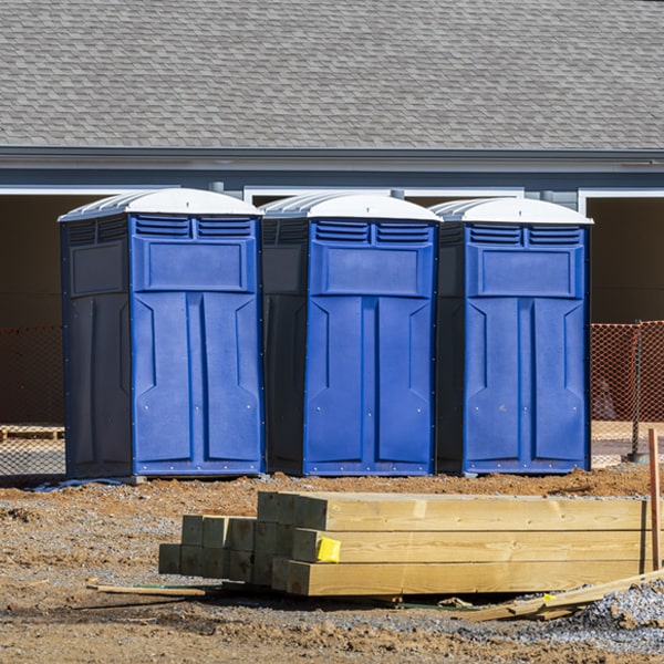 how can i report damages or issues with the porta potties during my rental period in Steward